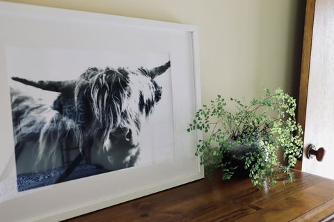 Red Ceder Cottage - Great Ocean Road - Port Campbell - Holiday Adelaide 5