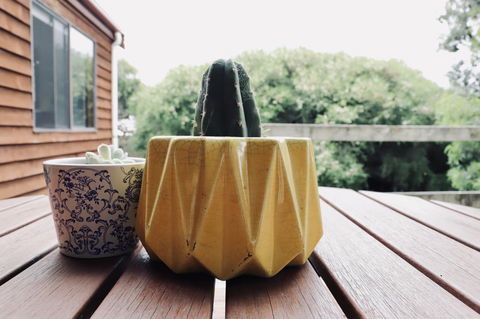 Red Ceder Cottage - Great Ocean Road - Port Campbell - Holiday Adelaide 21