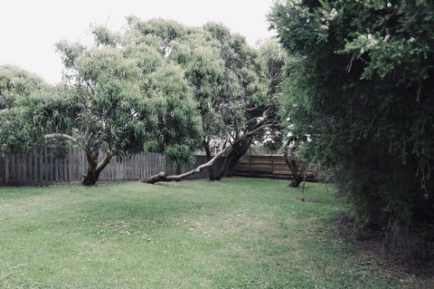 Red Ceder Cottage - Great Ocean Road - Port Campbell - Holiday Adelaide 24