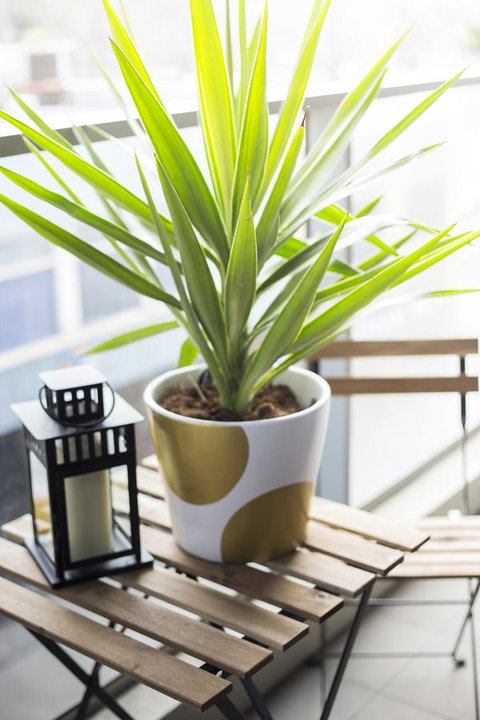 Complete Host 50 Claremont St Apartments - Holiday Adelaide 6