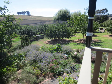 Walnut Cottage Via Leongatha - Holiday Adelaide 9