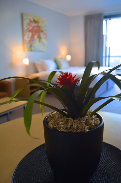 Mansfield Apartments - Holiday Adelaide 21