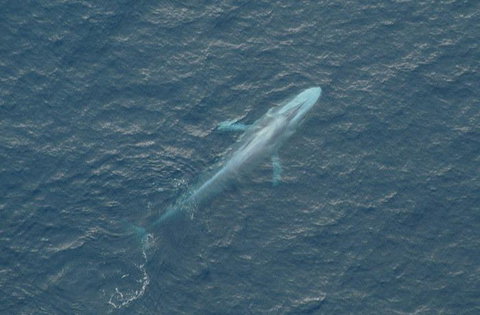 Cape Nelson Lighthouse - Holiday Adelaide 39