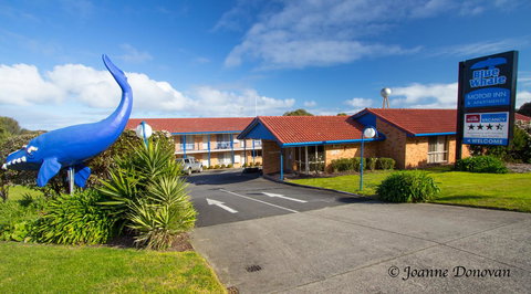Blue Whale Motor Inn & Apartments - Holiday Adelaide 0