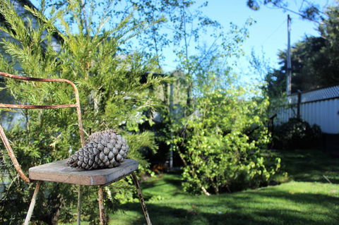 Cottage 4A - Holiday Adelaide 13