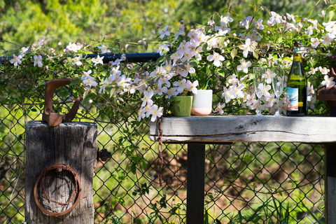 Cottage 4A - Holiday Adelaide 4