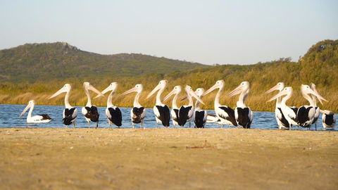 Castaways Moreton Island - Holiday Adelaide 11