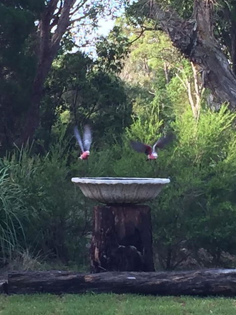Castaways Moreton Island - Holiday Adelaide 8