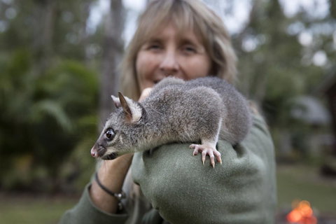 Airlie Beach Eco Cabins - Adults Only - Holiday Adelaide 11