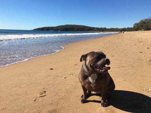 KiteSurf 1770 Beach House - Holiday Adelaide 12