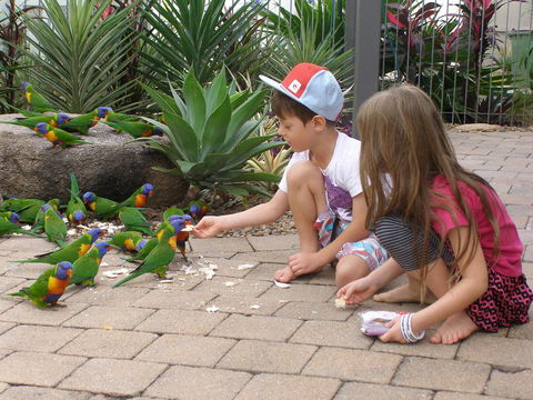 Island Leisure Resort - Holiday Adelaide 25