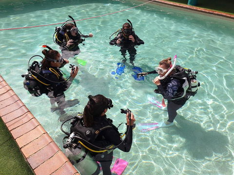 Backpackers In Paradise 18-35 Hostel - Holiday Adelaide 18