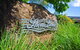Shorelines - thumb 16