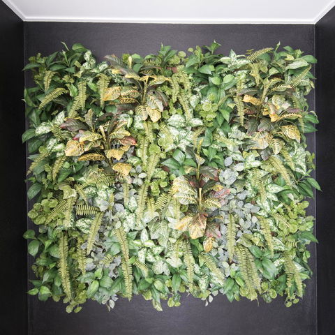 Riviera Mackay - Holiday Adelaide 22