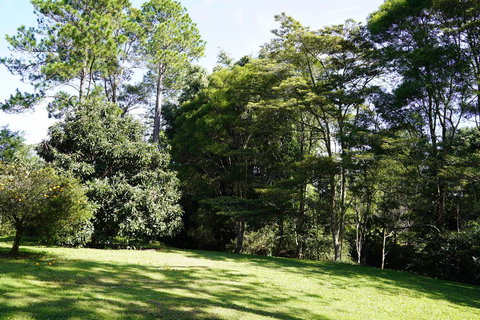 McCarthy Grove Maleny - Holiday Adelaide 2