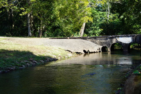 McCarthy Grove Maleny - Holiday Adelaide 1