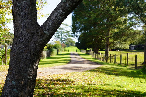 McCarthy Grove Maleny - Holiday Adelaide 3