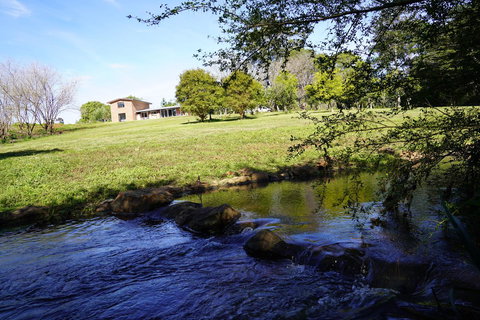 McCarthy Grove Maleny - Holiday Adelaide 5