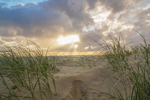 San Marino By The Sea Apartments - Holiday Adelaide 29