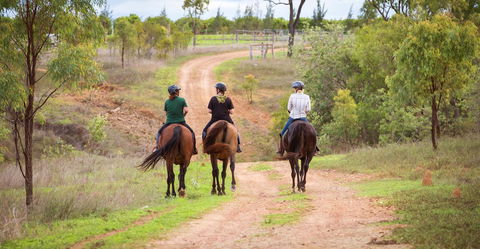 Ironbark House - Holiday Adelaide 22