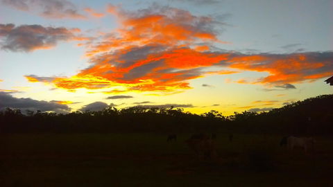 Ironbark House - Holiday Adelaide 32