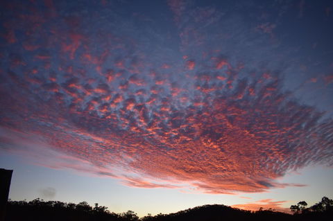 Ironbark House - Holiday Adelaide 6