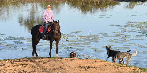 Ironbark House - Holiday Adelaide 39