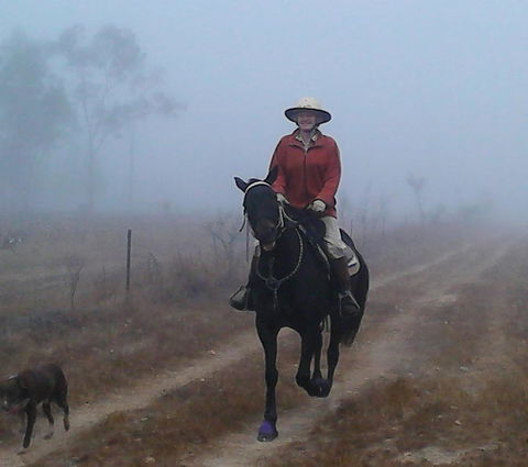 Ironbark House - Holiday Adelaide 37