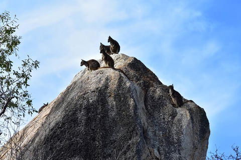 Ironbark House - Holiday Adelaide 38