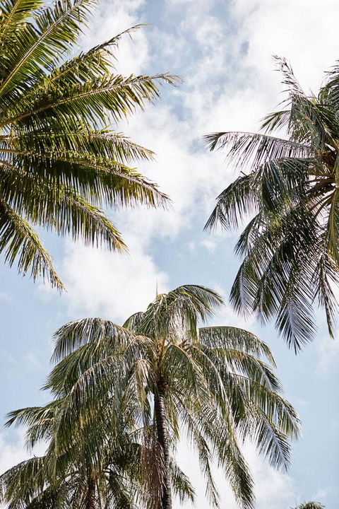 Novotel Cairns Oasis Resort - Holiday Adelaide 9