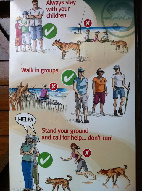 Fraser Island Retreat - Holiday Adelaide 31