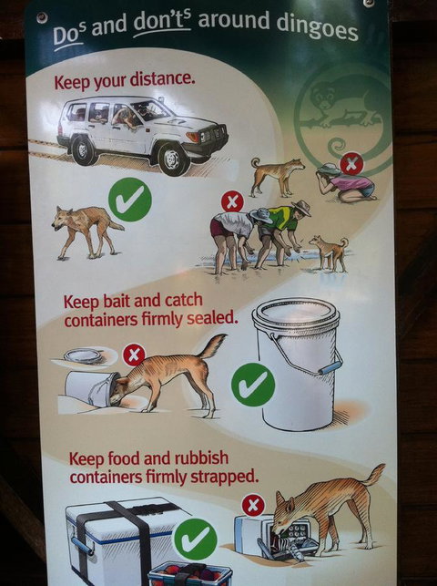 Fraser Island Retreat - Holiday Adelaide 32