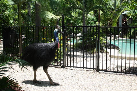 Boutique Bungalows - Holiday Adelaide 15