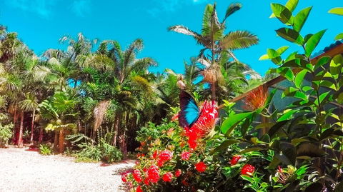 Boutique Bungalows - Holiday Adelaide 14