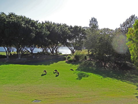 Waterfront Resort Villa With Buggy - Holiday Adelaide 32