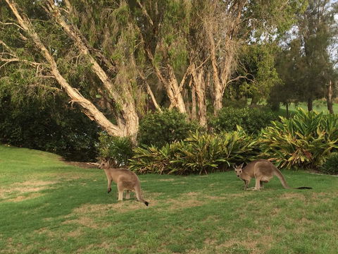 Waterfront Resort Villa With Buggy - Holiday Adelaide 19