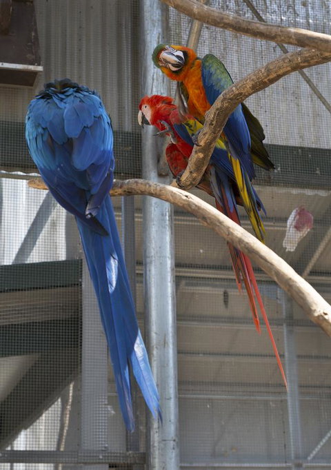 Bower 63 - Holiday Adelaide 35