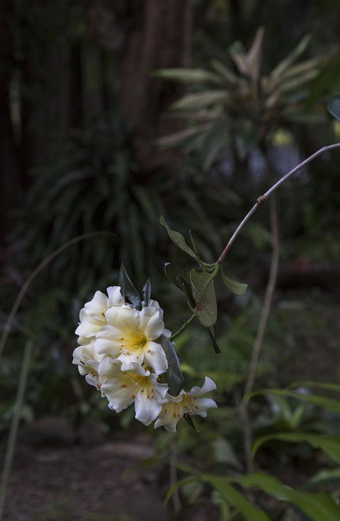 Bower 63 - Holiday Adelaide 18