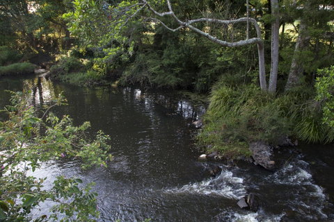 Bower 63 - Holiday Adelaide 23