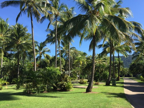 Tasman Holiday Parks - Airlie Beach - Holiday Adelaide 1