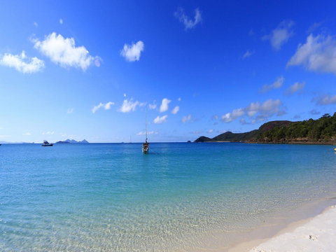 Tasman Holiday Parks - Airlie Beach - Holiday Adelaide 19