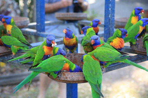 Tasman Holiday Parks - Airlie Beach - Holiday Adelaide 23