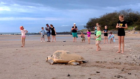 Dune On The Beach - Holiday Adelaide 6