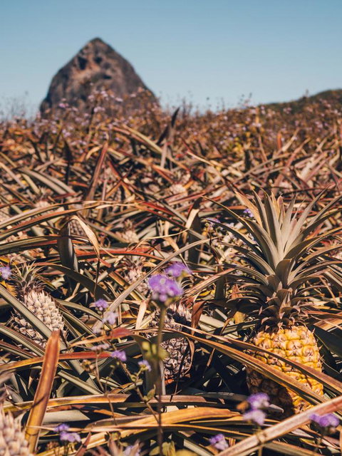 The Villa At The Bay - Holiday Adelaide 24