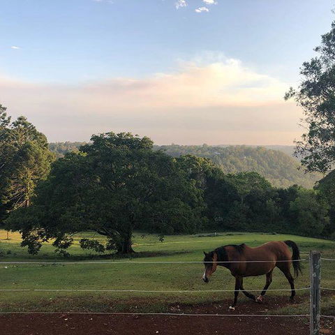 Montville Holiday Apartments - Holiday Adelaide 3