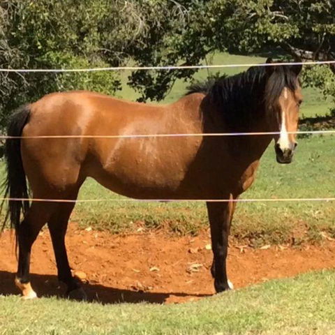 Montville Holiday Apartments - Holiday Adelaide 7