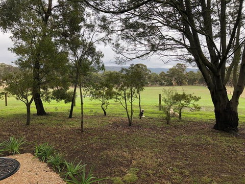 Willandra Tiny House - Holiday Adelaide 3