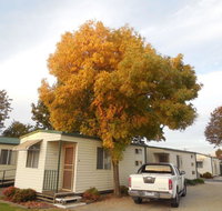 Wodonga Caravan  Cabin Park - Holiday Adelaide