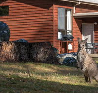 Wonderland Cottages - Holiday Adelaide