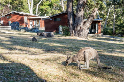 Wonderland Cottages - Holiday Adelaide 1